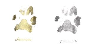 PastedGraphic-5