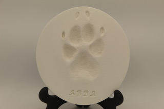 clay paw prints