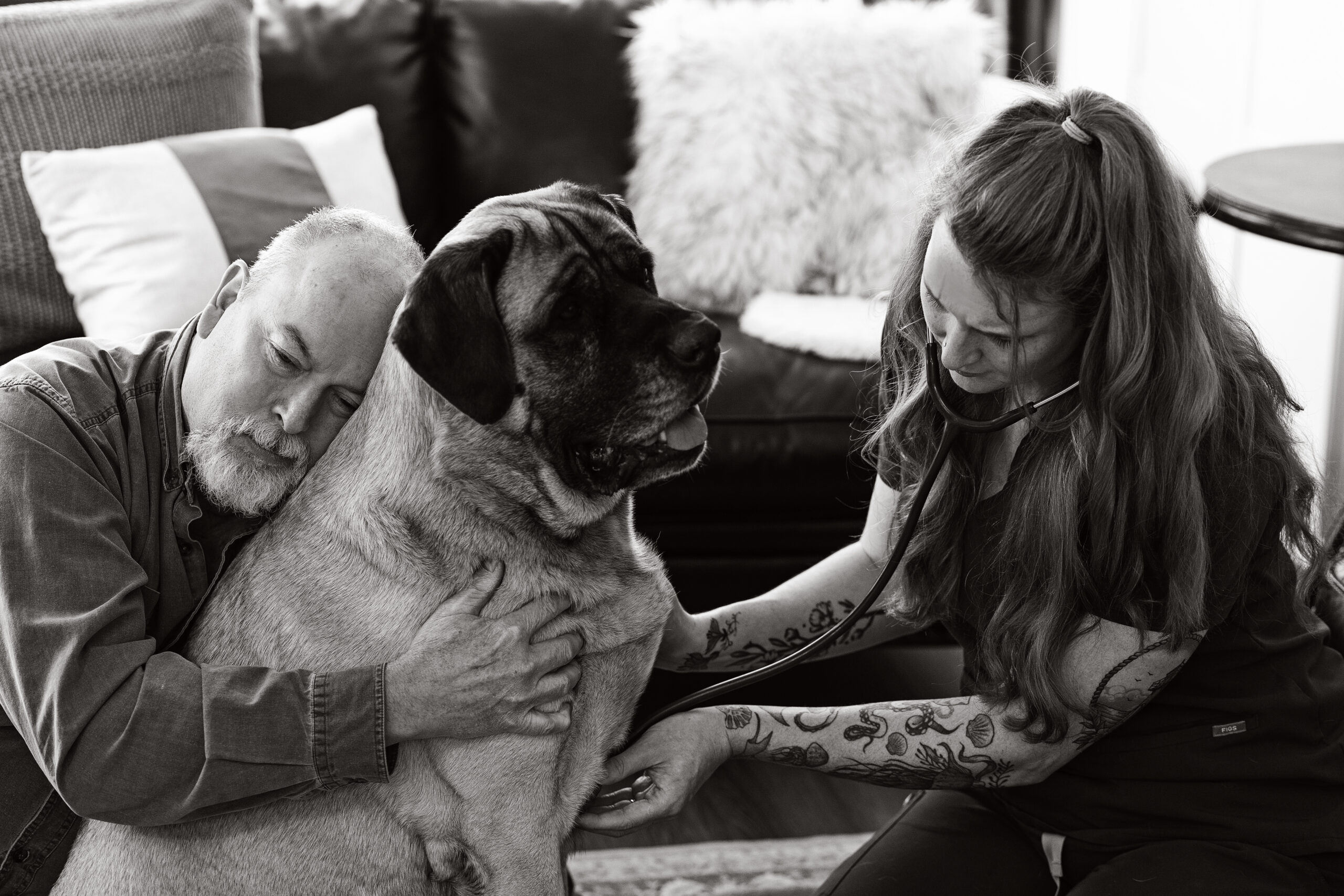 Dog hugs